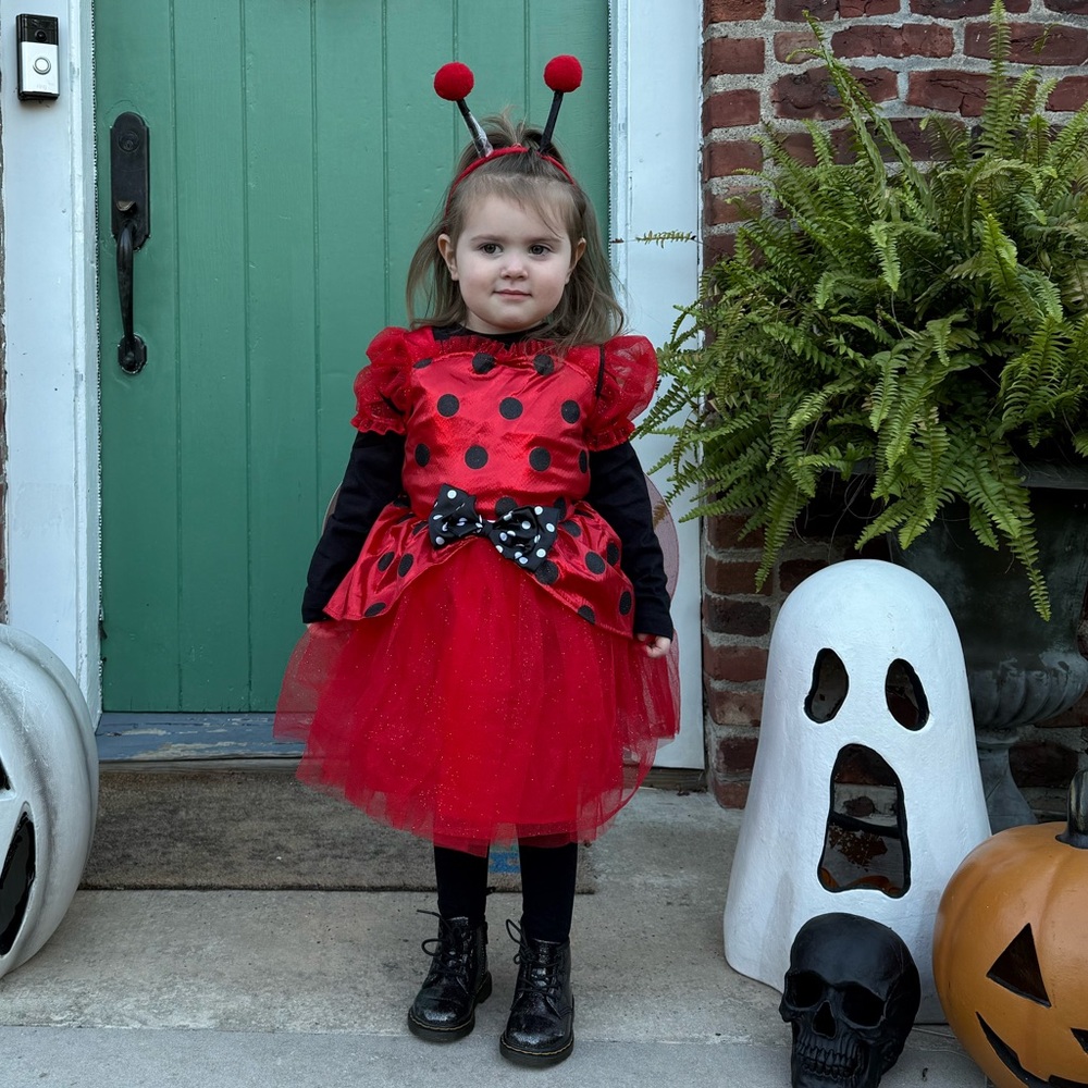 Girls ladybug Halloween costume - 3t